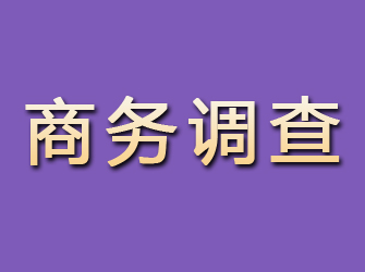 邵武商务调查